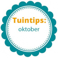 Wat te doen in de tuin in oktober?